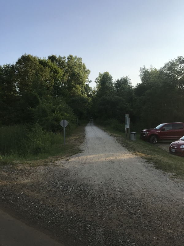 Shoup - July 2020 Photo (newer photo)